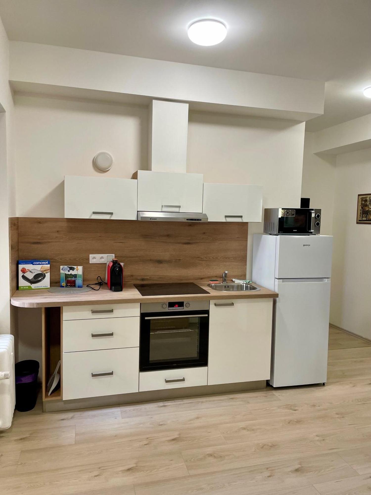 Ferienwohnung Apartman Josefska Brünn Exterior foto